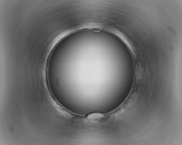 X0000110740861200906151102