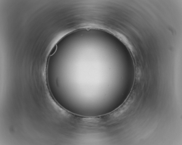 X0000110740863200906151102