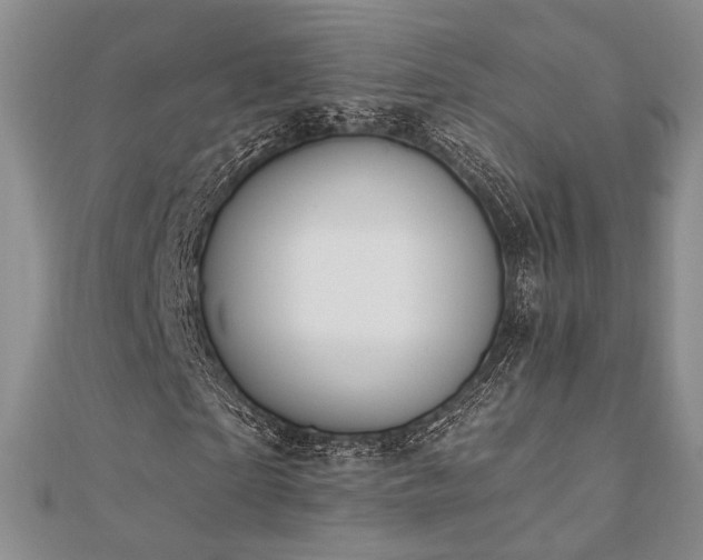 X0000110740865200906151101