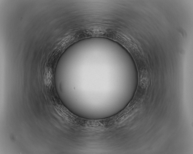 X0000110740866200906151101
