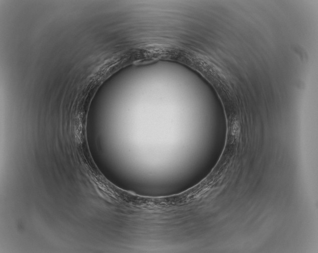 X0000110740868200906151101