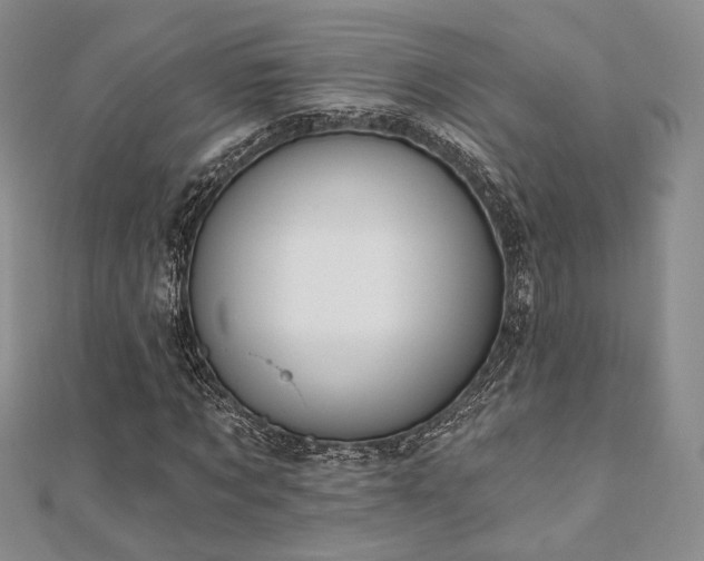 X0000110740869200906151101