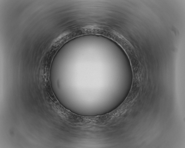 X0000110740870200906151101