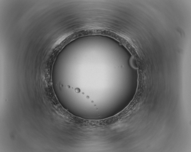 X0000110740871200906151101