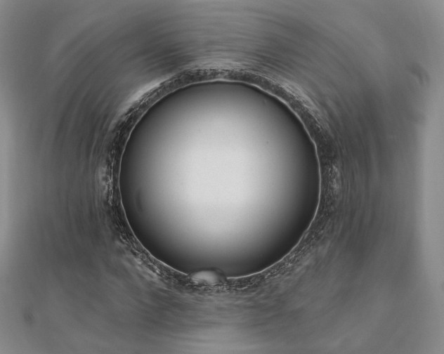 X0000110740872200906151101