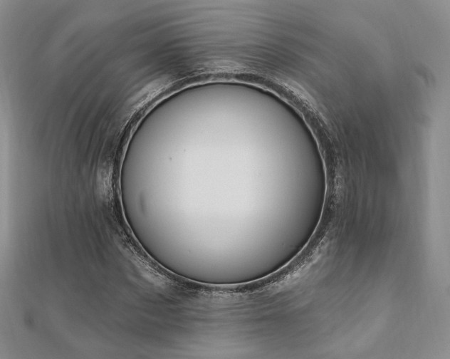 X0000110740873200906151101
