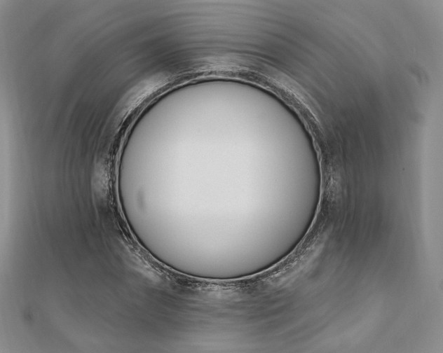 X0000110740874200906151101
