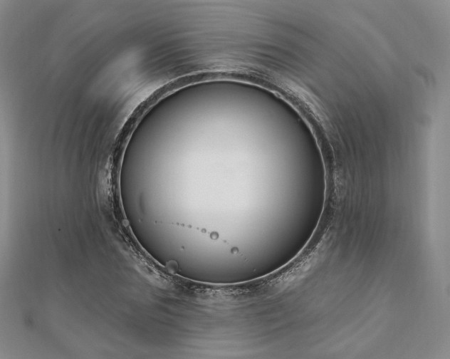 X0000110740875200906151101