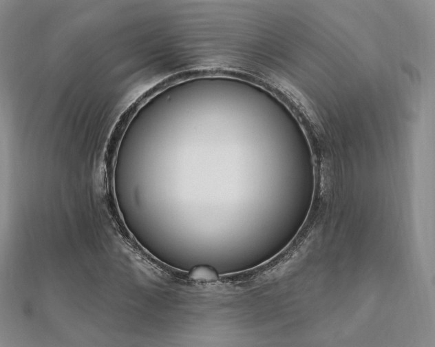 X0000110740876200906151101