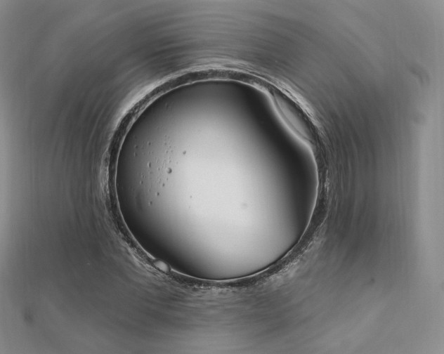 X0000110740877200906151101