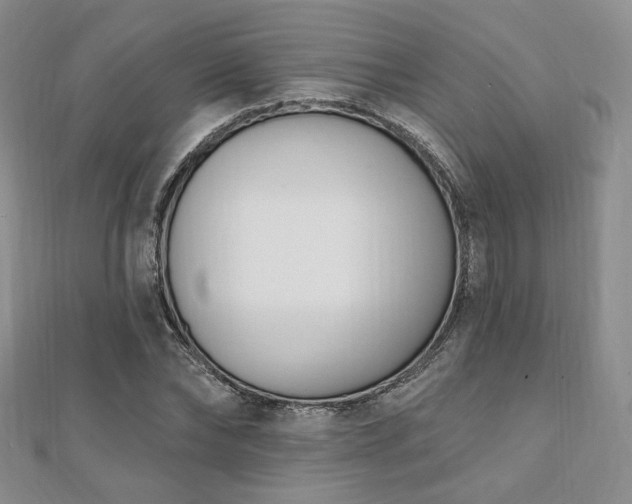 X0000110740878200906151101
