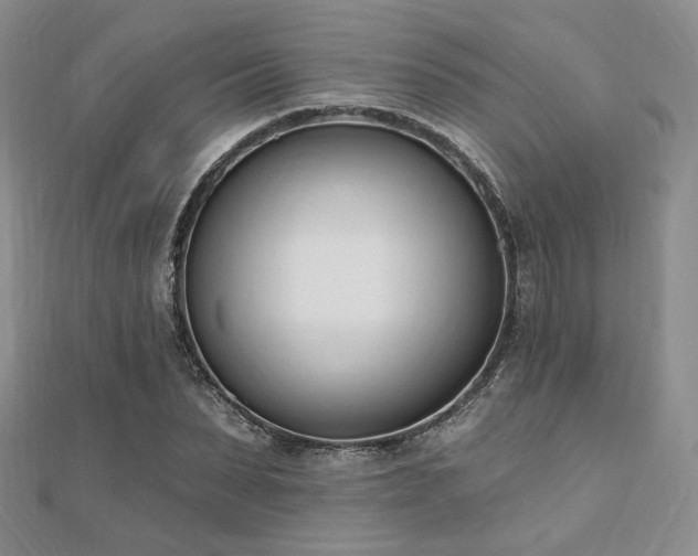 X0000110740879200906151101