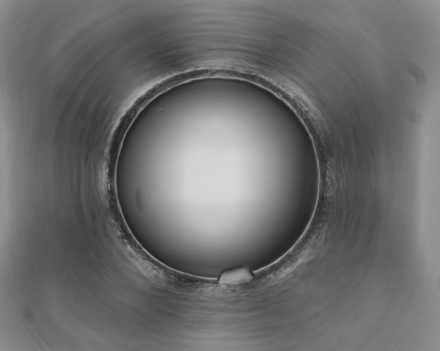 X0000110740880200906151101