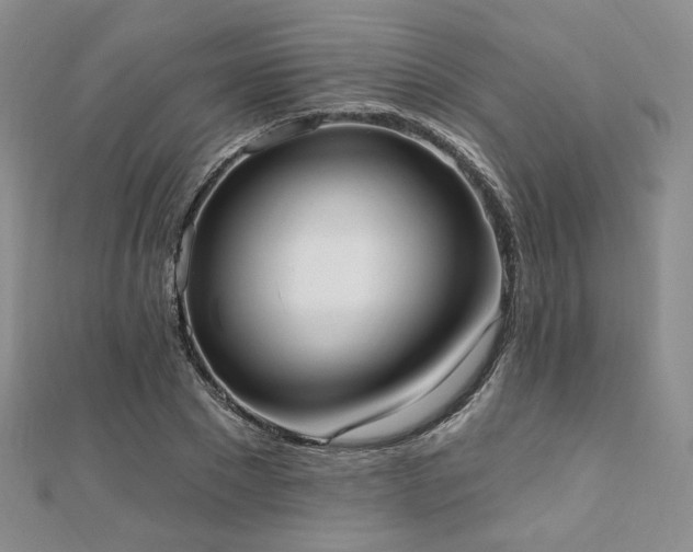 X0000110740881200906151101