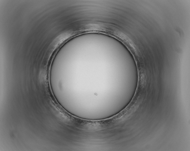 X0000110740882200906151101