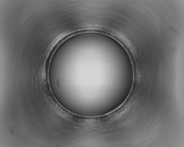 X0000110740883200906151101