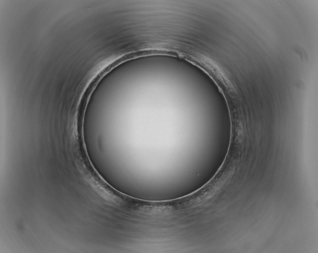 X0000110740884200906151101