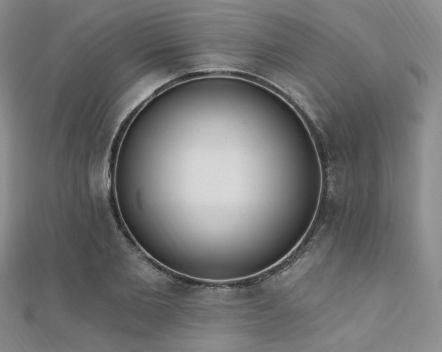 X0000110740885200906151101