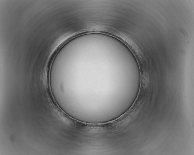 X0000110740886200906151101