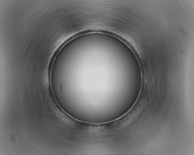 X0000110740887200906151101