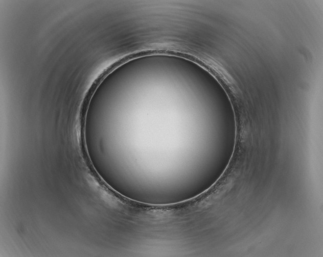 X0000110740888200906151101