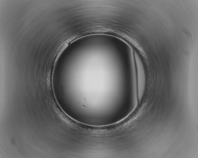 X0000110740889200906151101