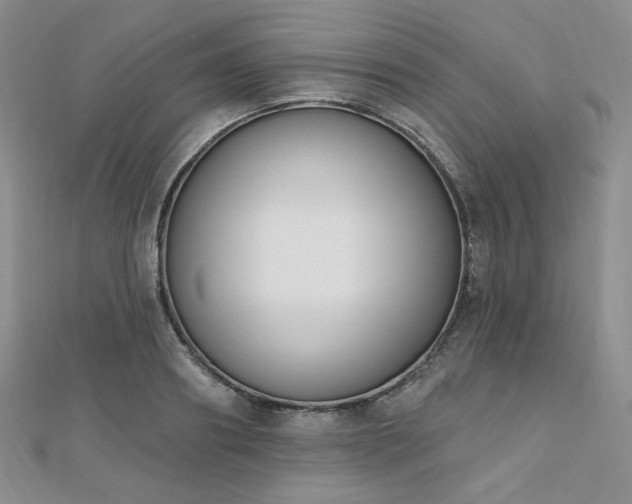 X0000110740890200906151101