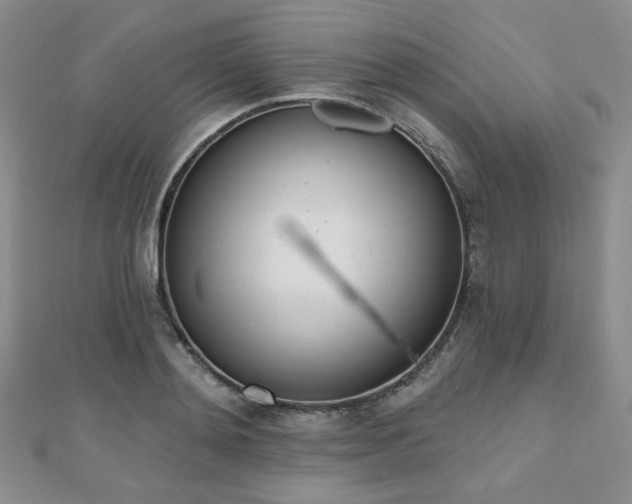 X0000110740892200906151101