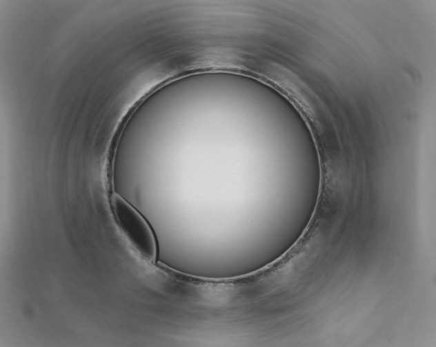 X0000110740893200906151101