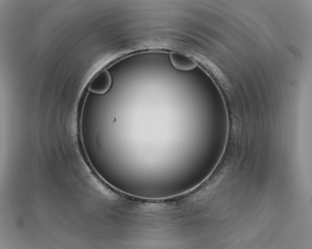 X0000110740894200906151101