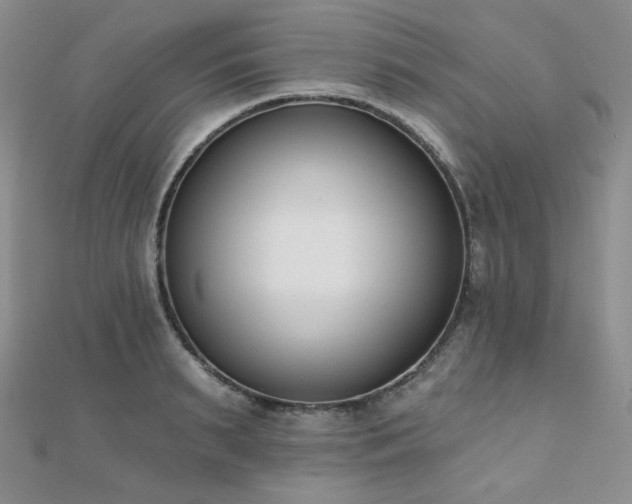 X0000110740895200906151101