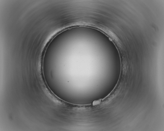 X0000110740896200906151101