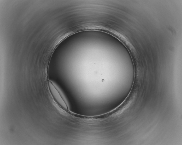 X0000110740897200906151101