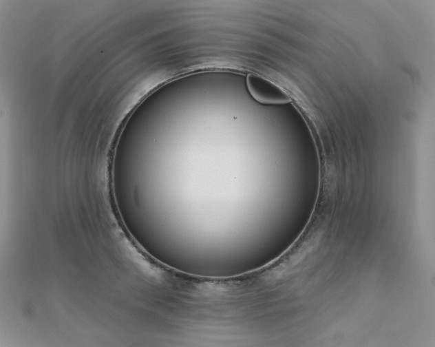 X0000110740898200906151101
