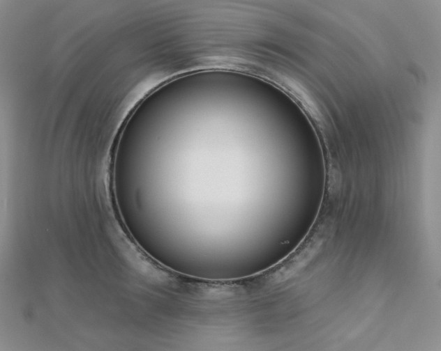 X0000110740899200906151101