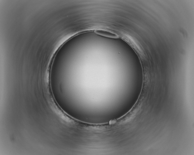 X0000110740900200906151101
