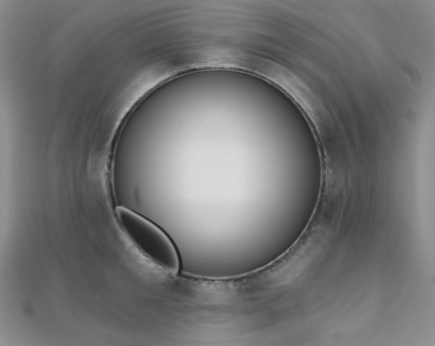 X0000110740901200906151101