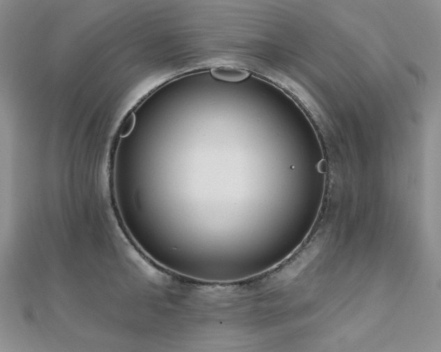 X0000110740902200906151101
