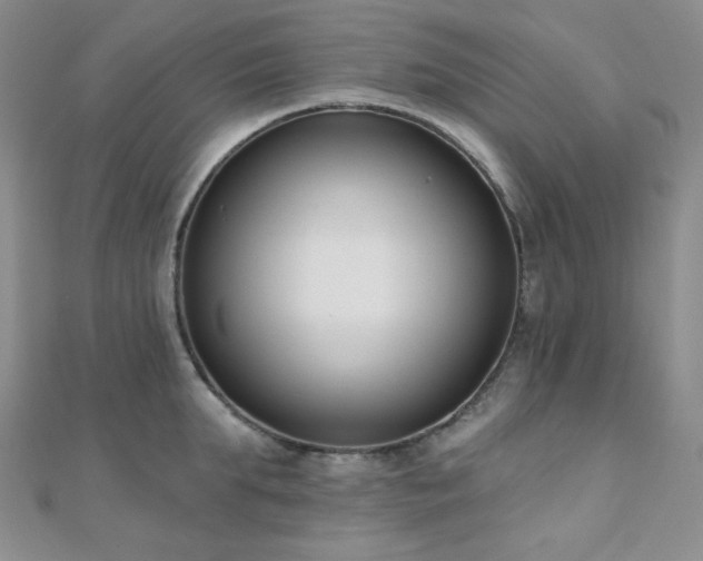X0000110740903200906151101