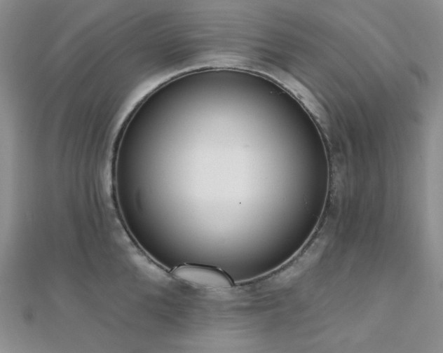 X0000110740904200906151101