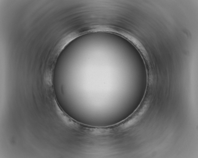 X0000110740905200906151101