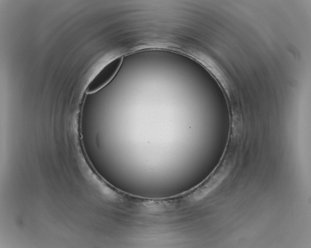 X0000110740906200906151101
