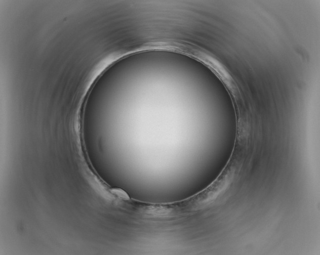 X0000110740907200906151101