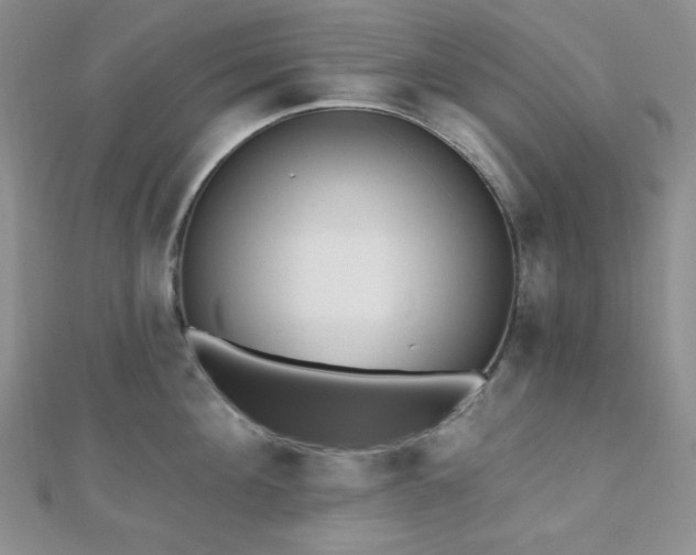 X0000110740908200906151101