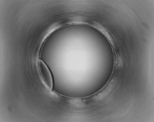 X0000110740909200906151101