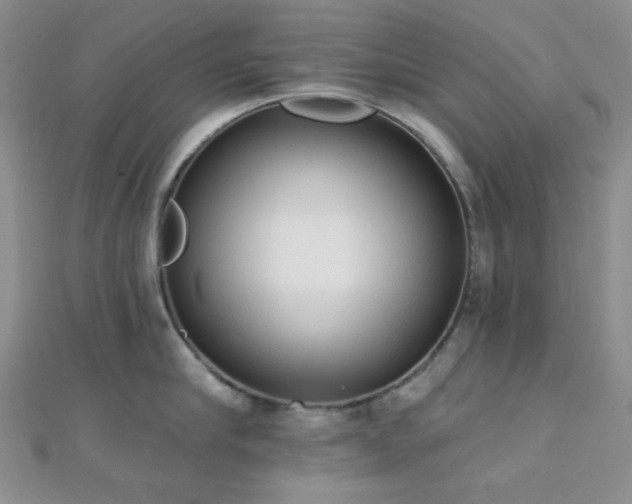 X0000110740910200906151101