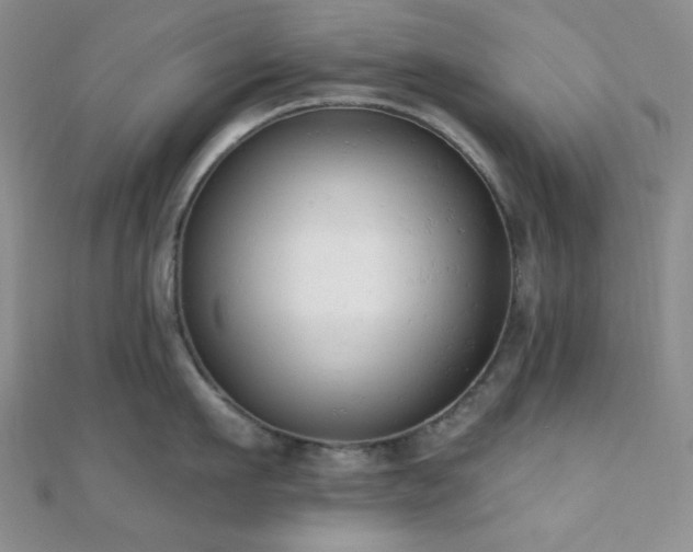 X0000110740911200906151101