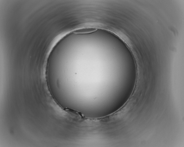 X0000110740912200906151101