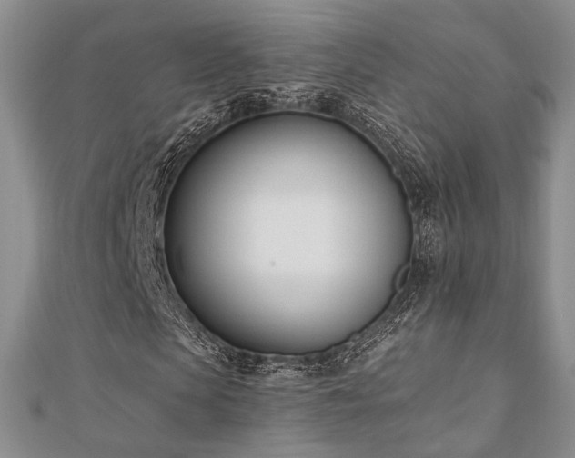 X0000110740913200906151100