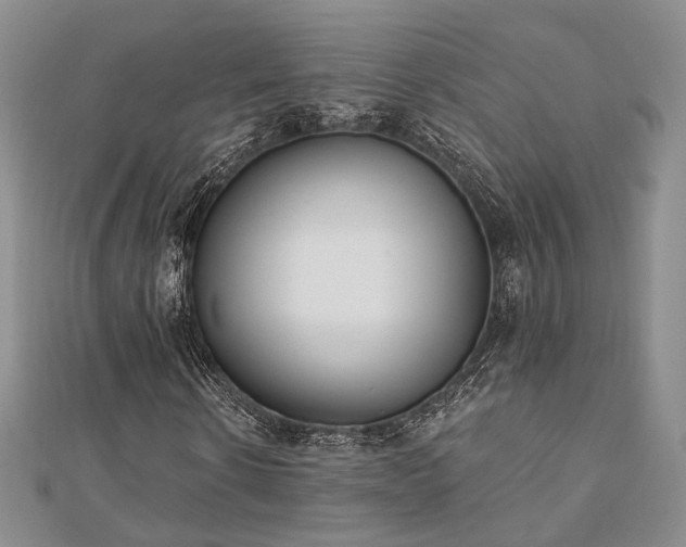 X0000110740914200906151100